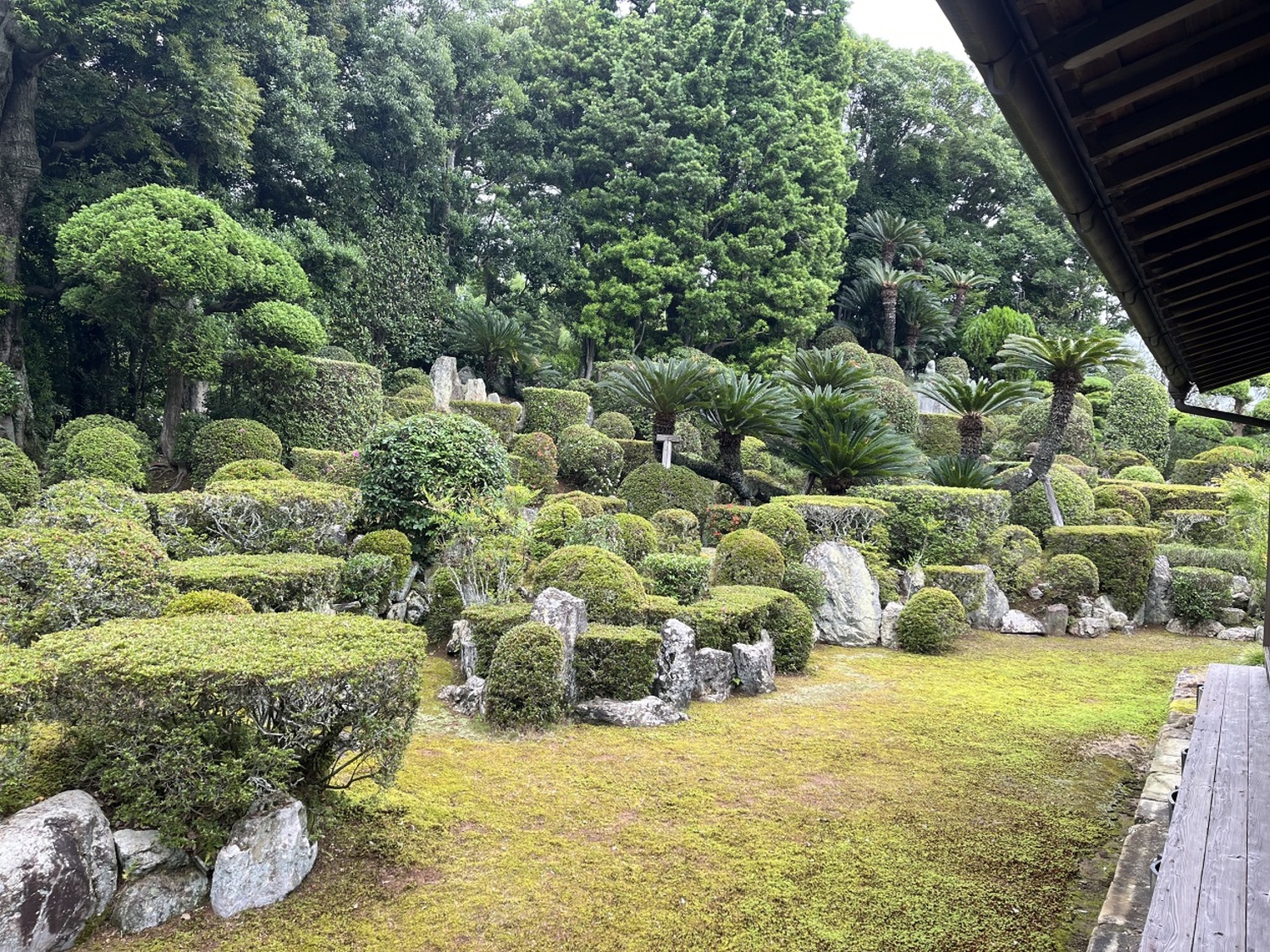 医王寺 (6)
