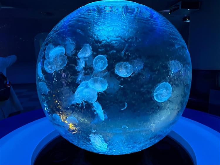 新江ノ島水族館