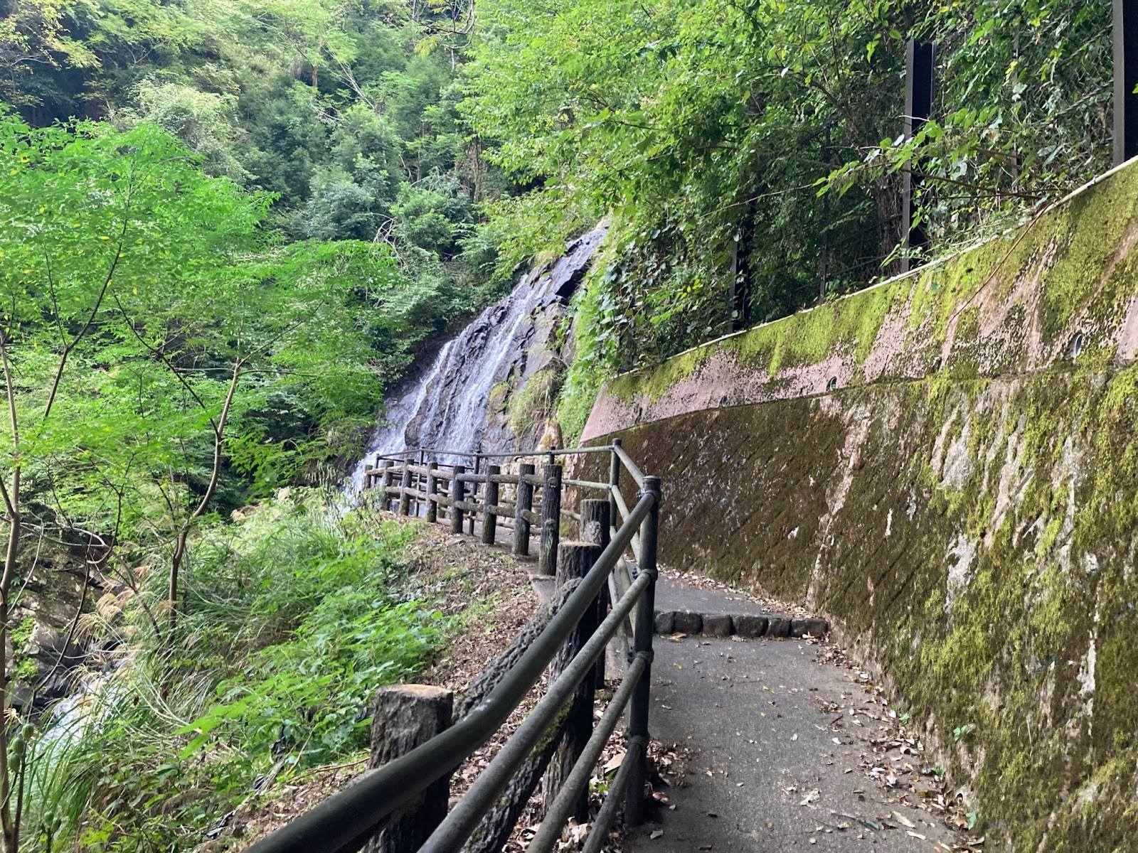 修善寺_旭滝