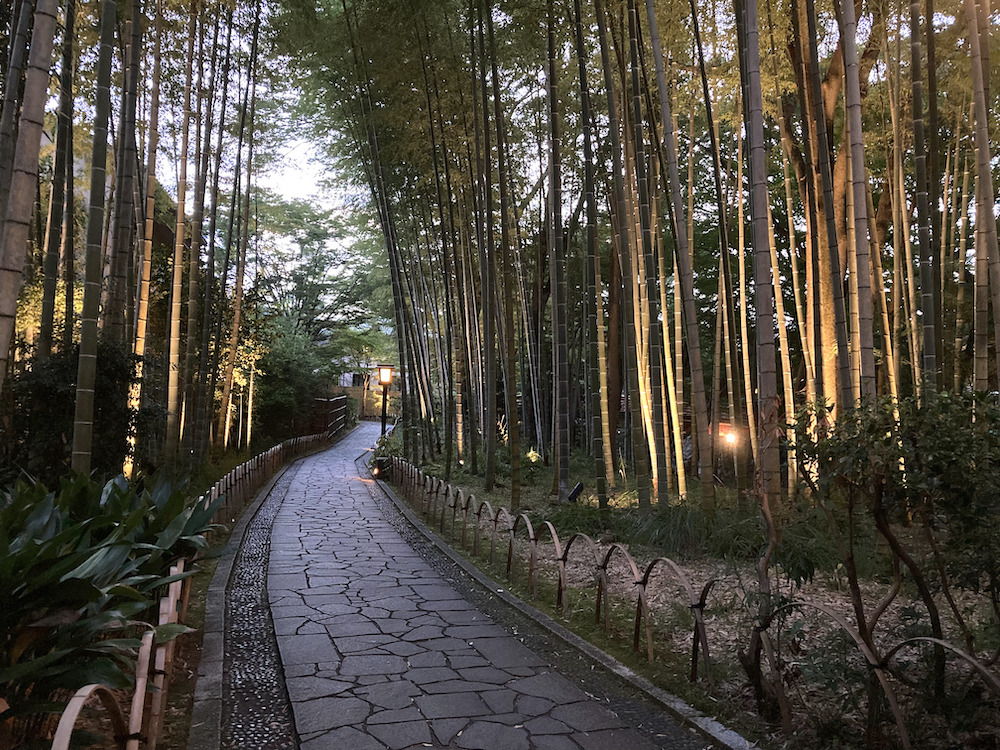 修善寺_竹林の小径
