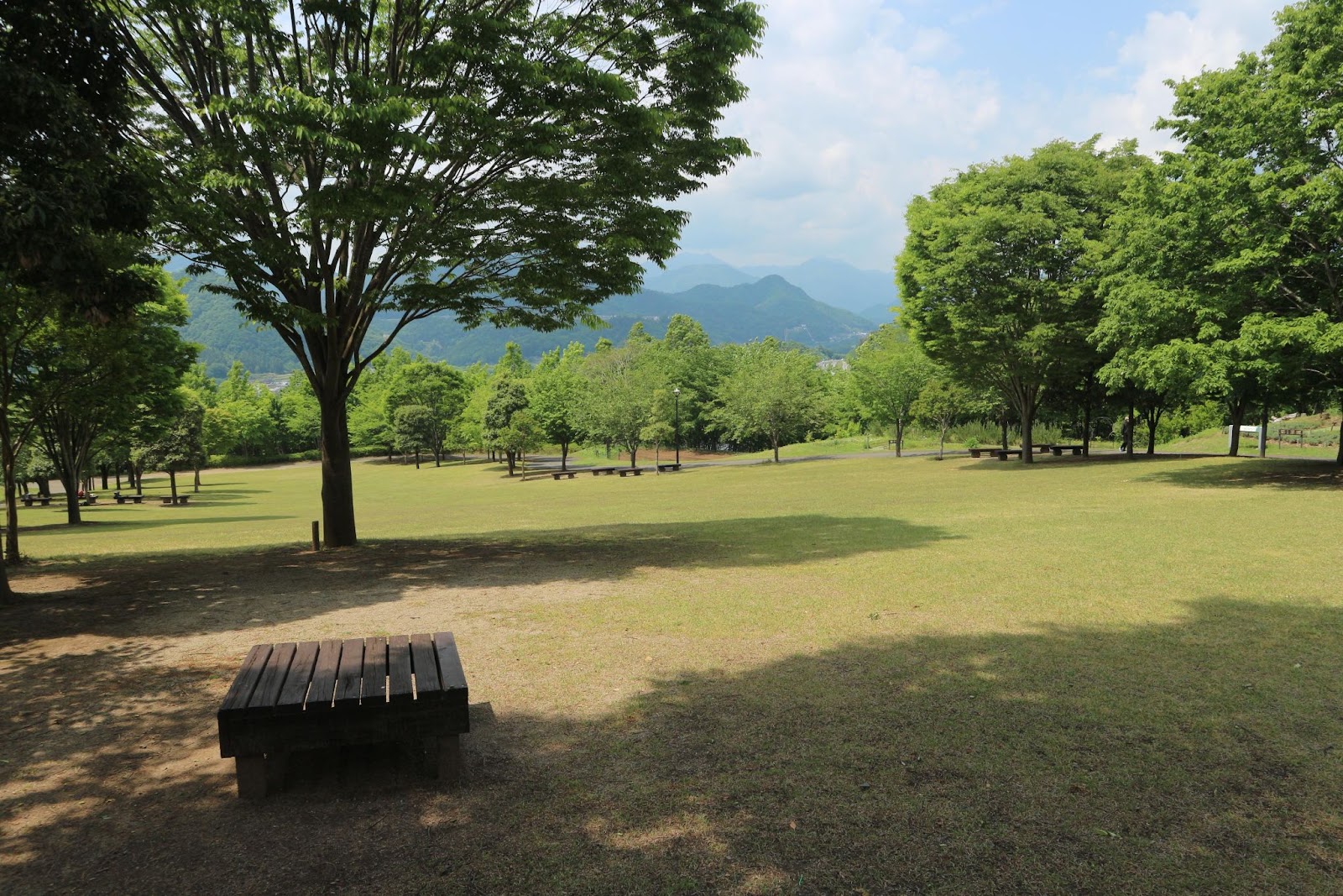 桂川ウェルネスパーク園内