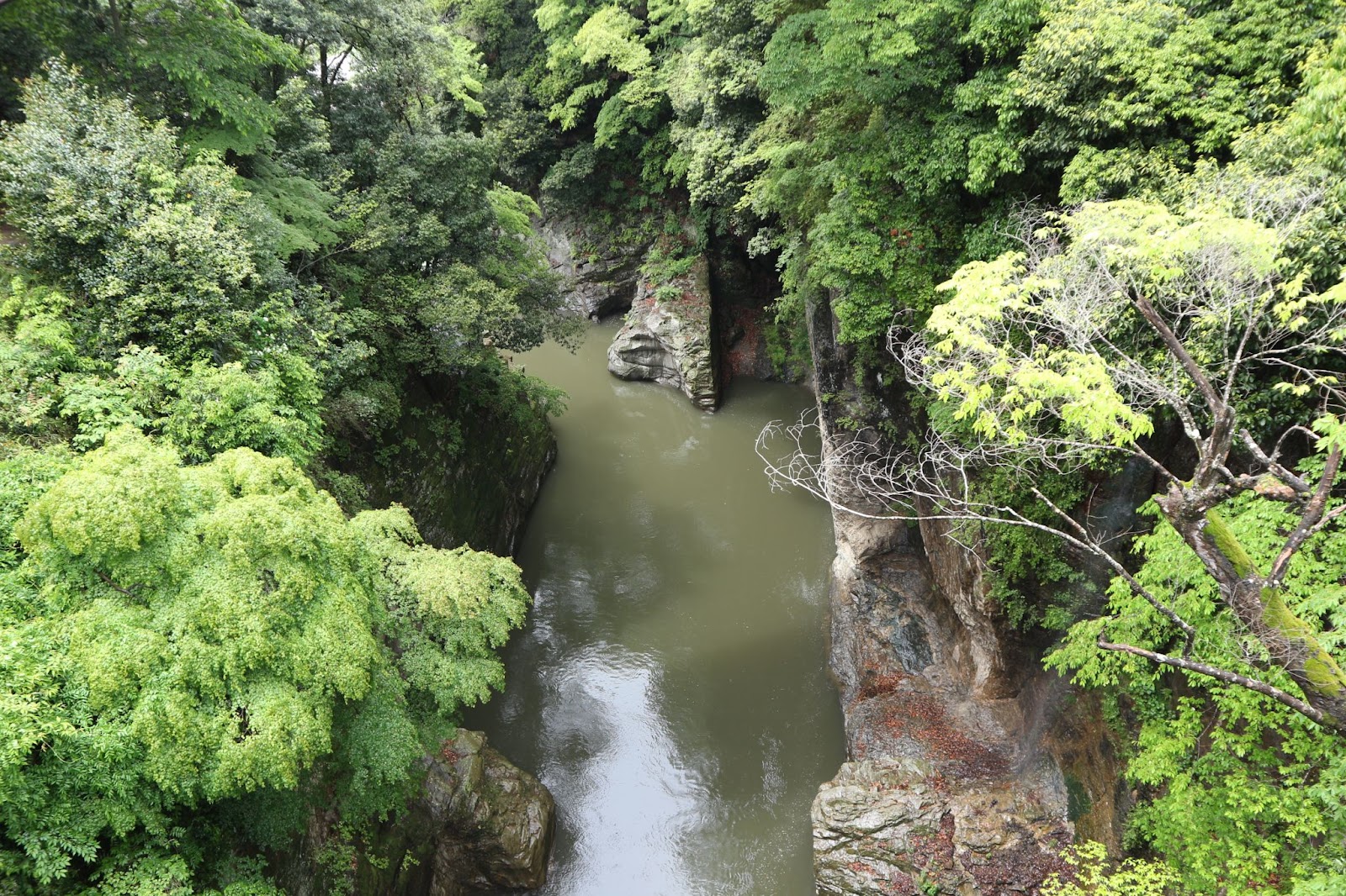 大月猿橋