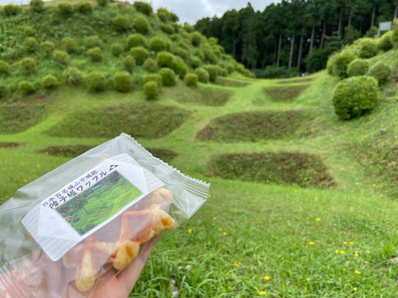 障子堀ワッフル