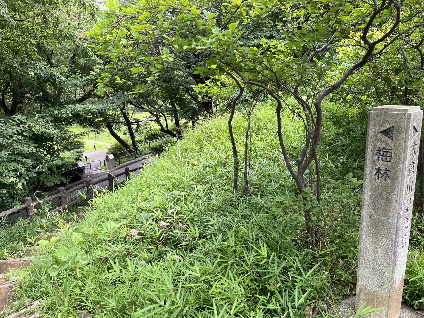梅林の入口