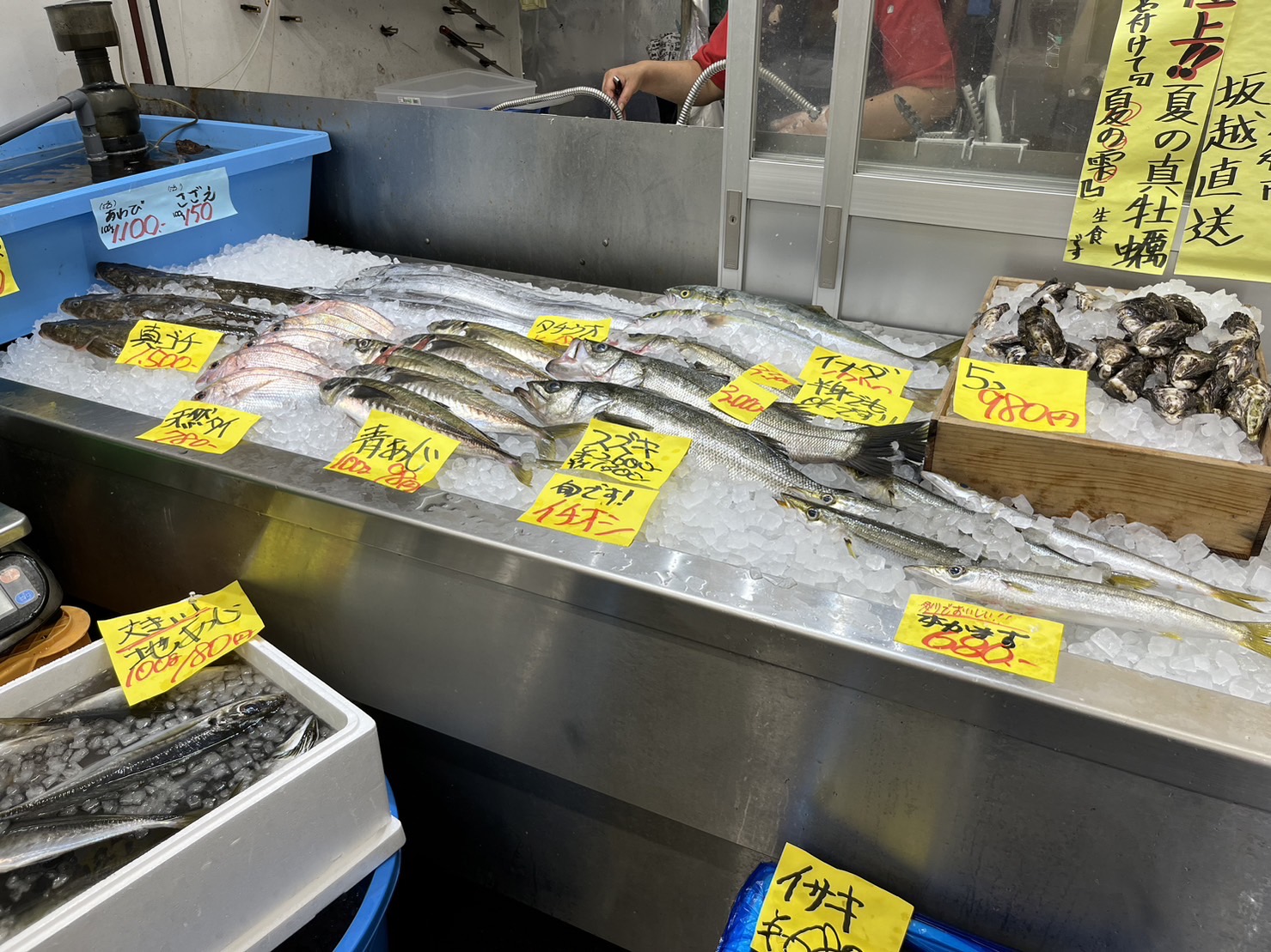 販売されている鮮魚
