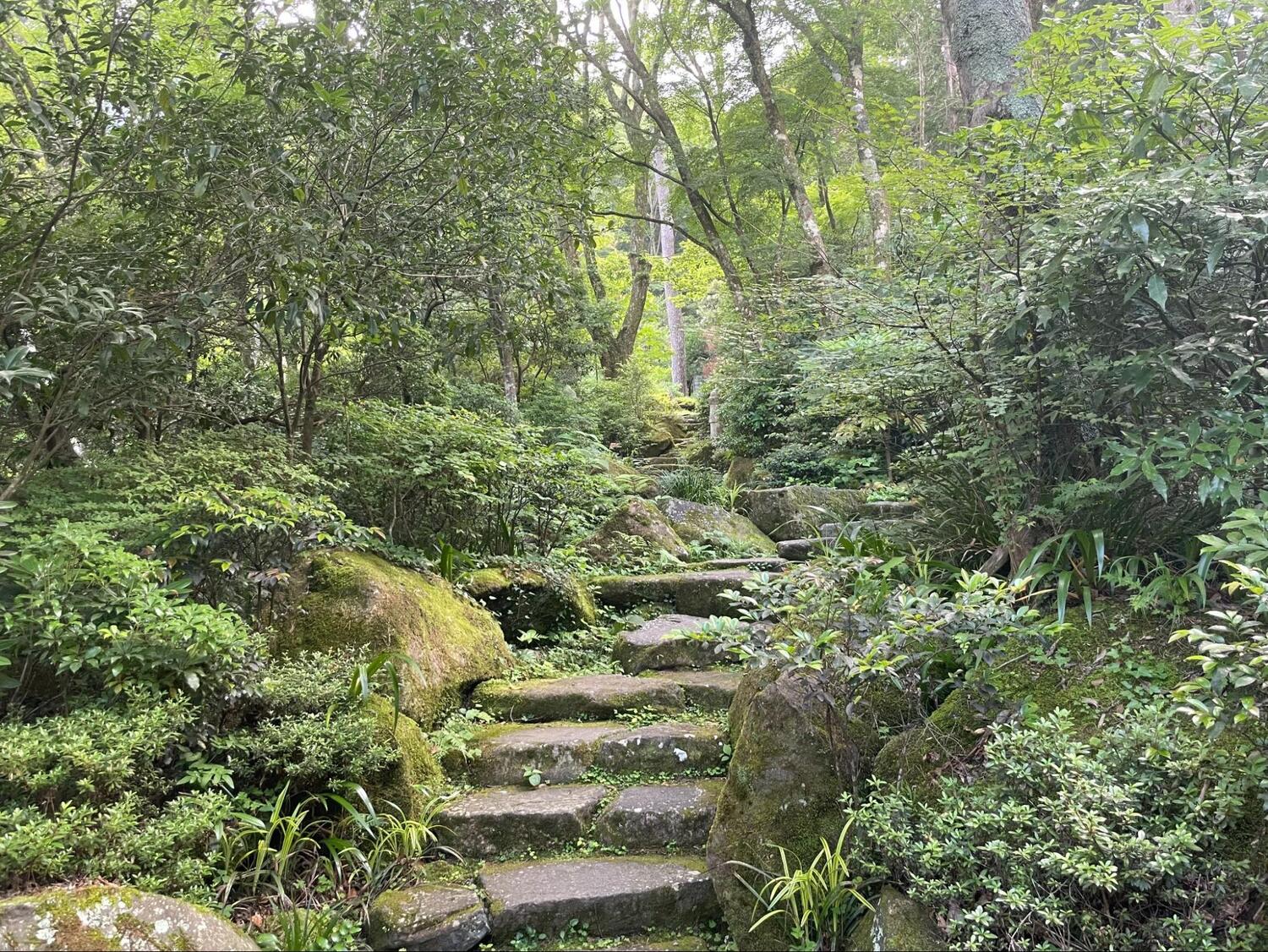 岡田美術館 (11)