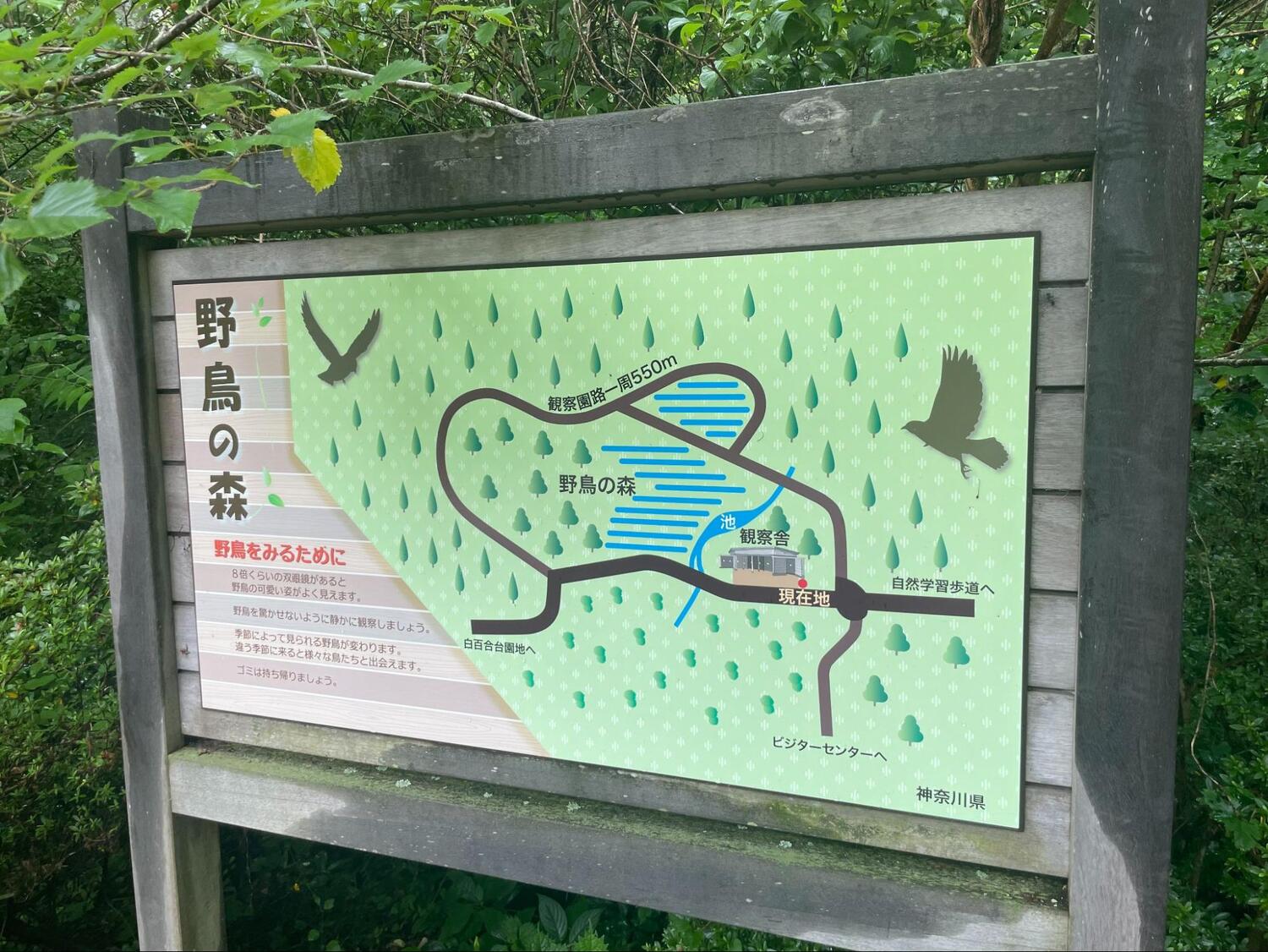 湖尻園地 (3)