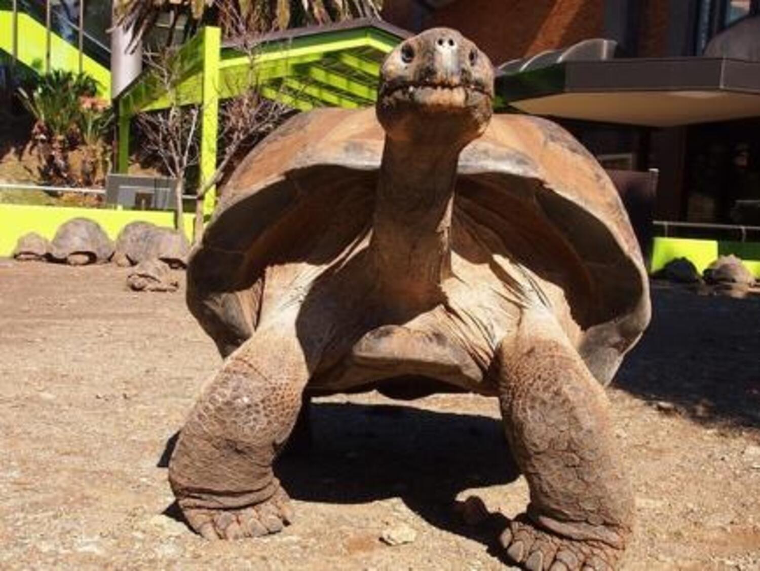 体感型動物園iZoo