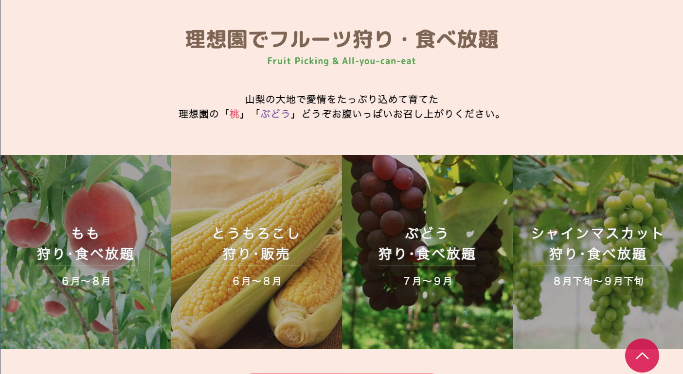 理想園桃狩り