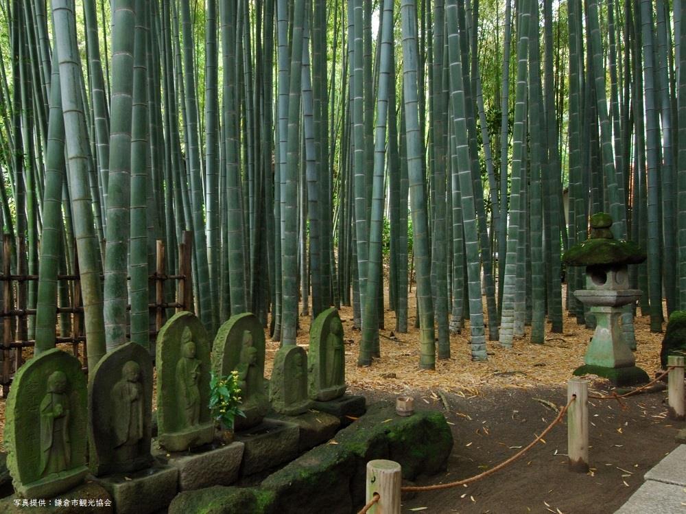 報国寺