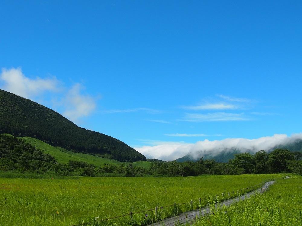 仙石原