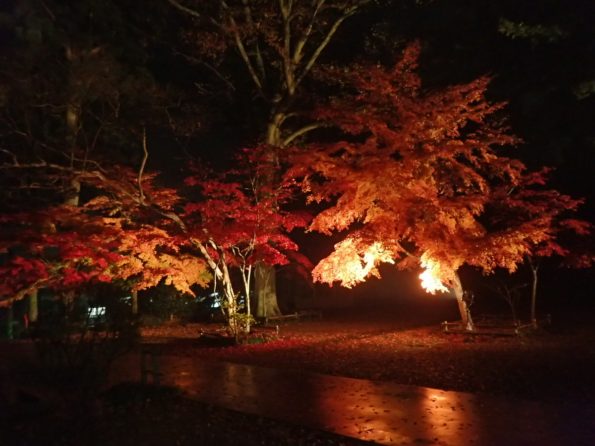 圓通寺7