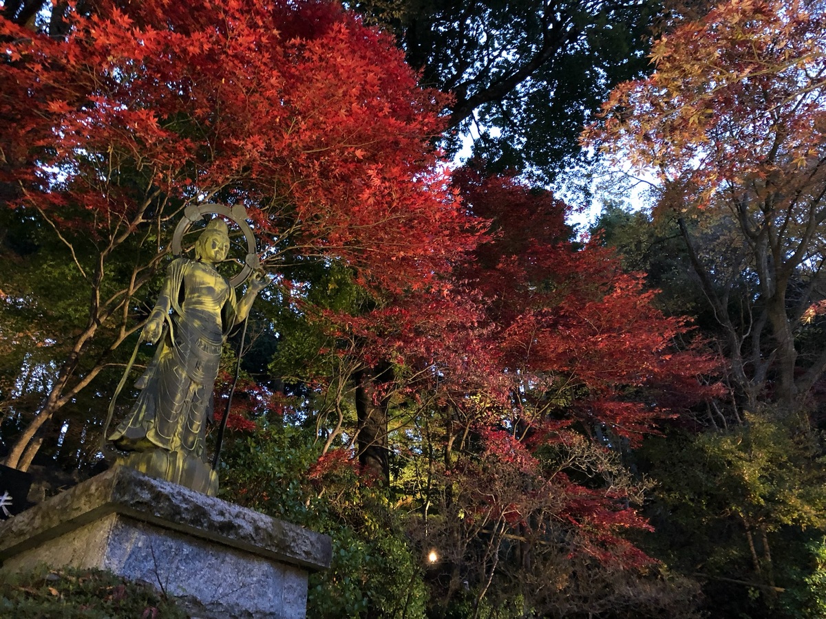 圓通寺11
