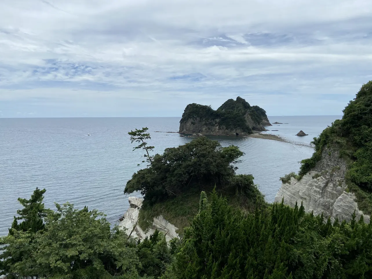 西伊豆仁科のイカを味わい尽くす！漁協直営「沖あがり食堂」の名物