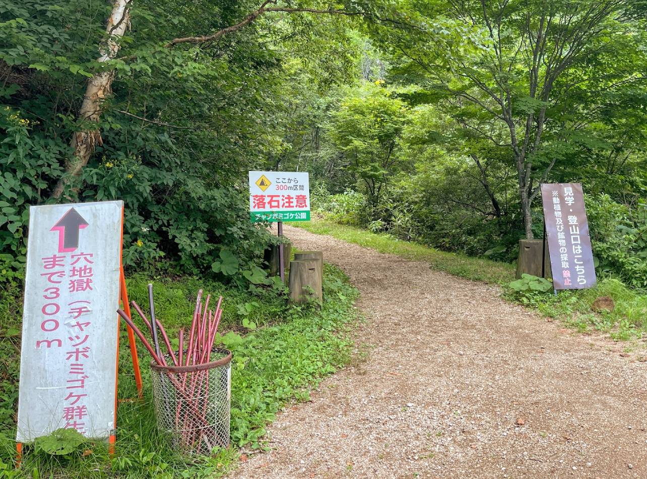 チャツボミゴケ公園入口