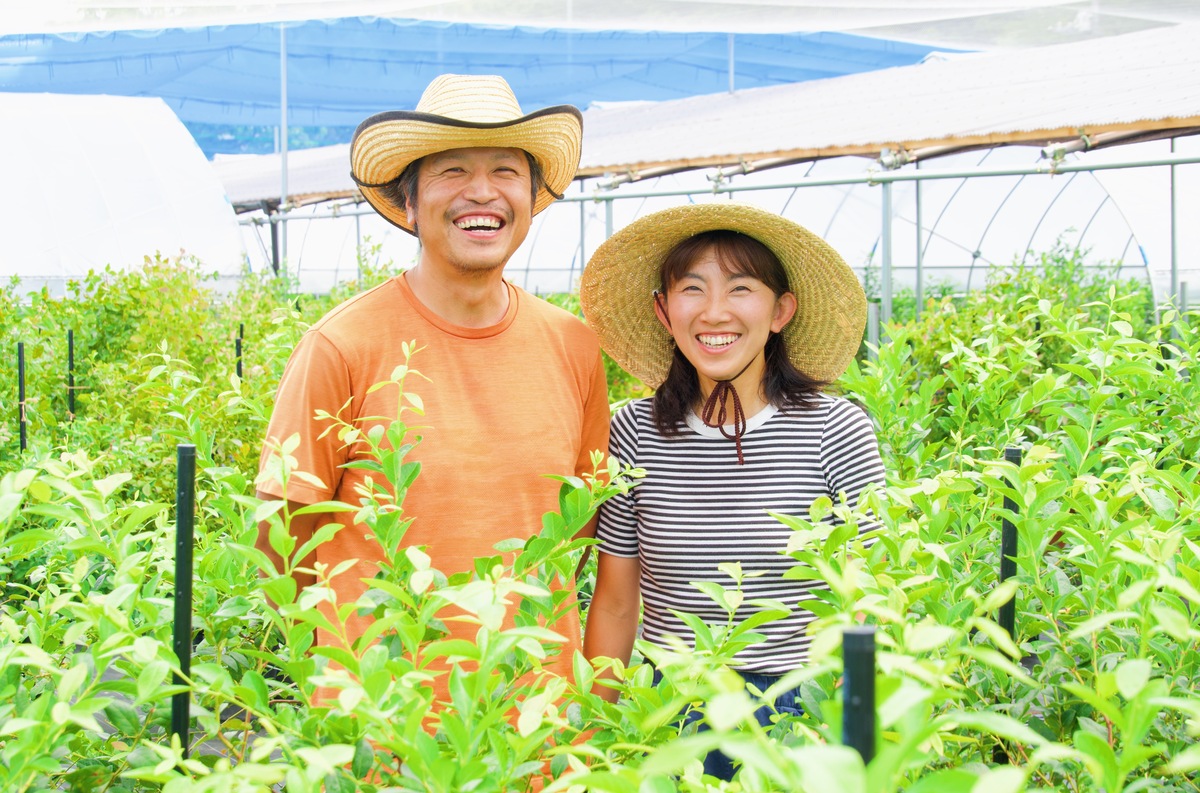 ブルーベリーと里山と②