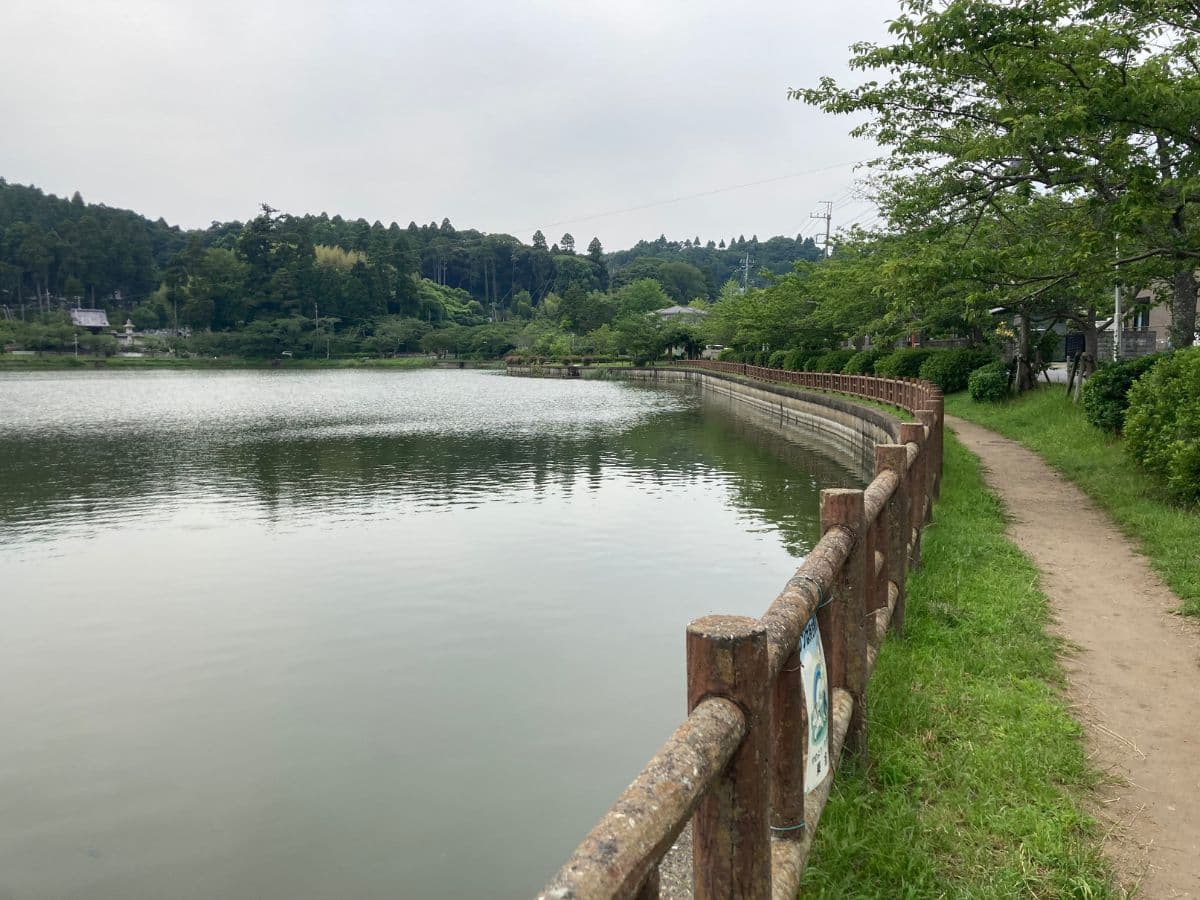 八鶴湖2