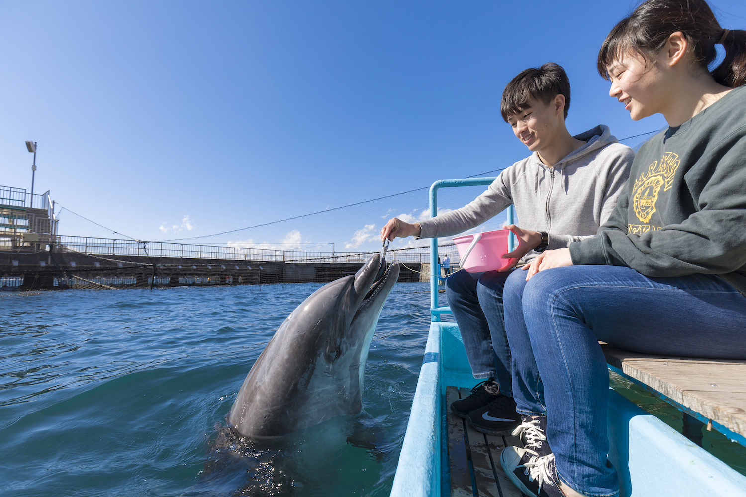 みとしー餌やり体験