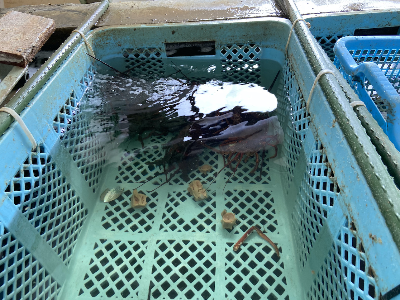 沖あがり食堂4-1