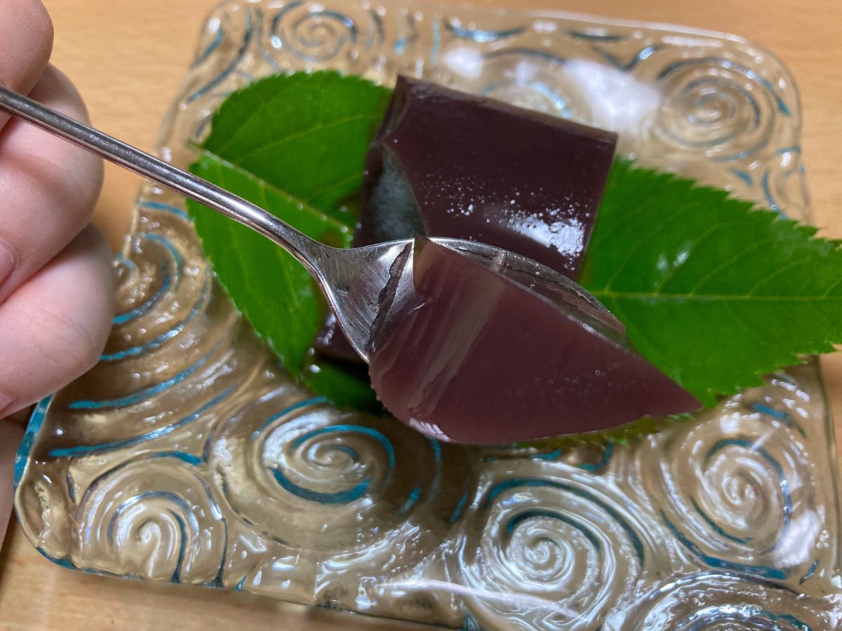 菊園の水ようかん