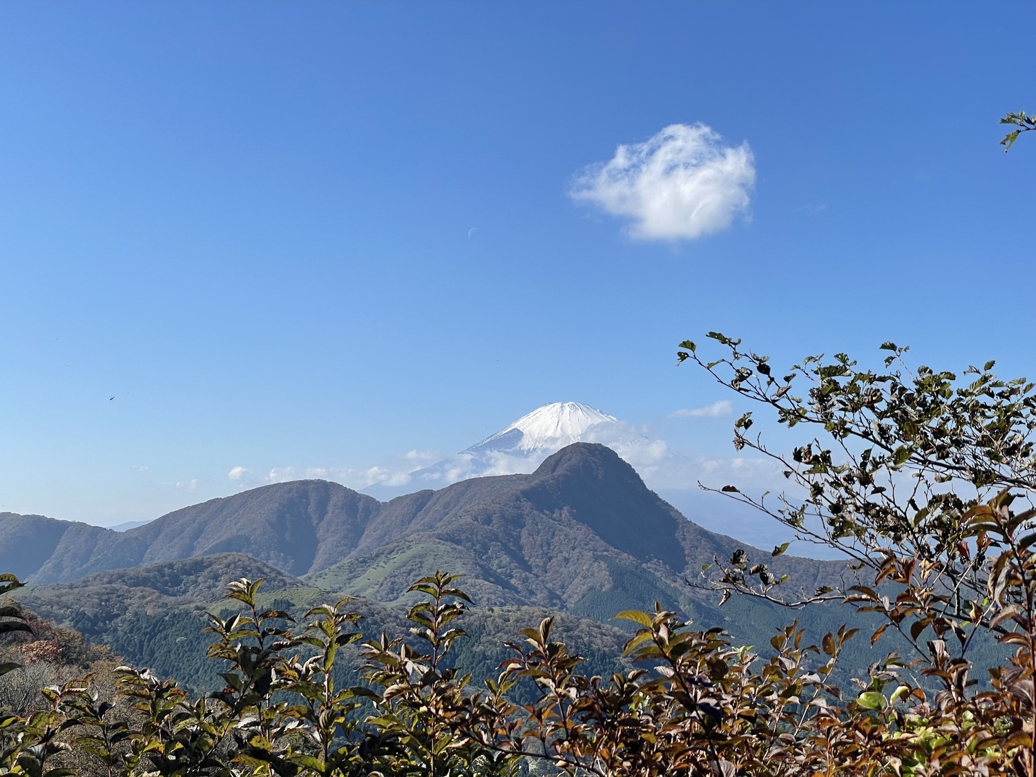 金時山と明神ヶ岳