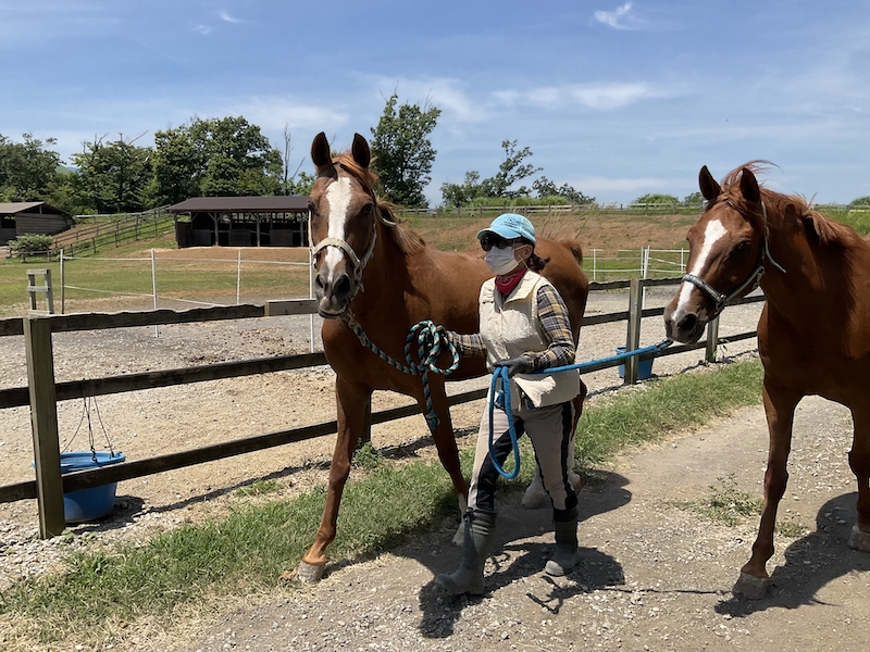ホースカントリーアラブ馬を連れて