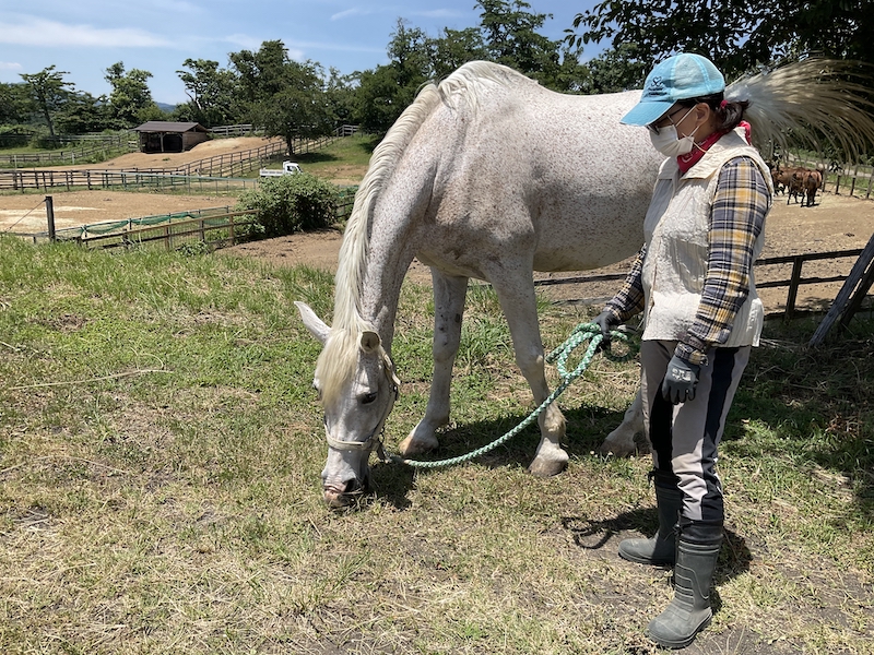 ホースカントリー白馬