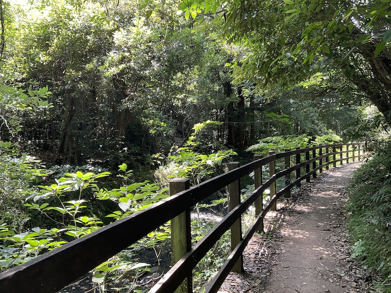 大淀小淀自然研究路