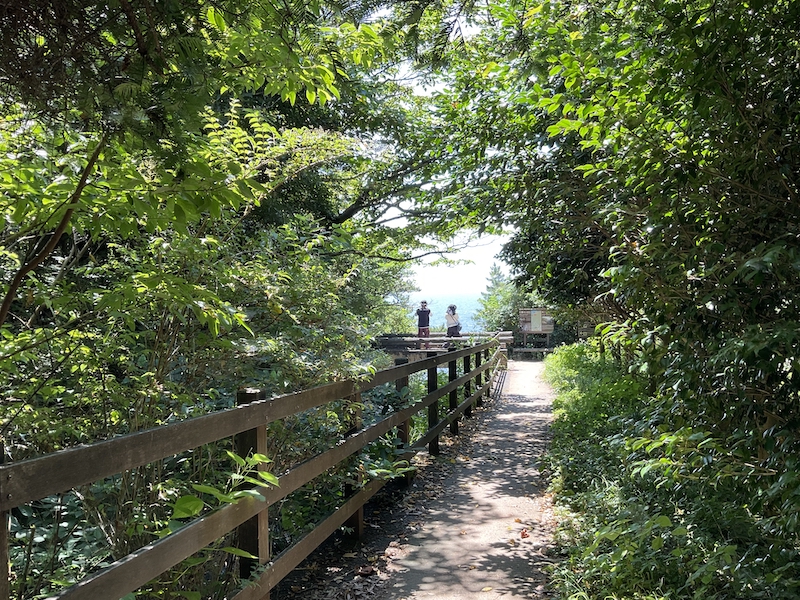 大淀小淀自然研究路終点付近