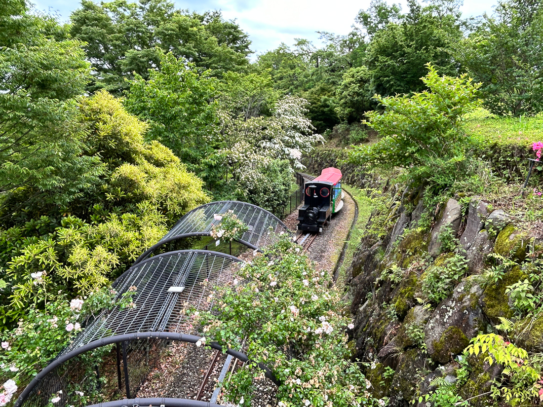 小田原こどもの森公園わんぱくらんど