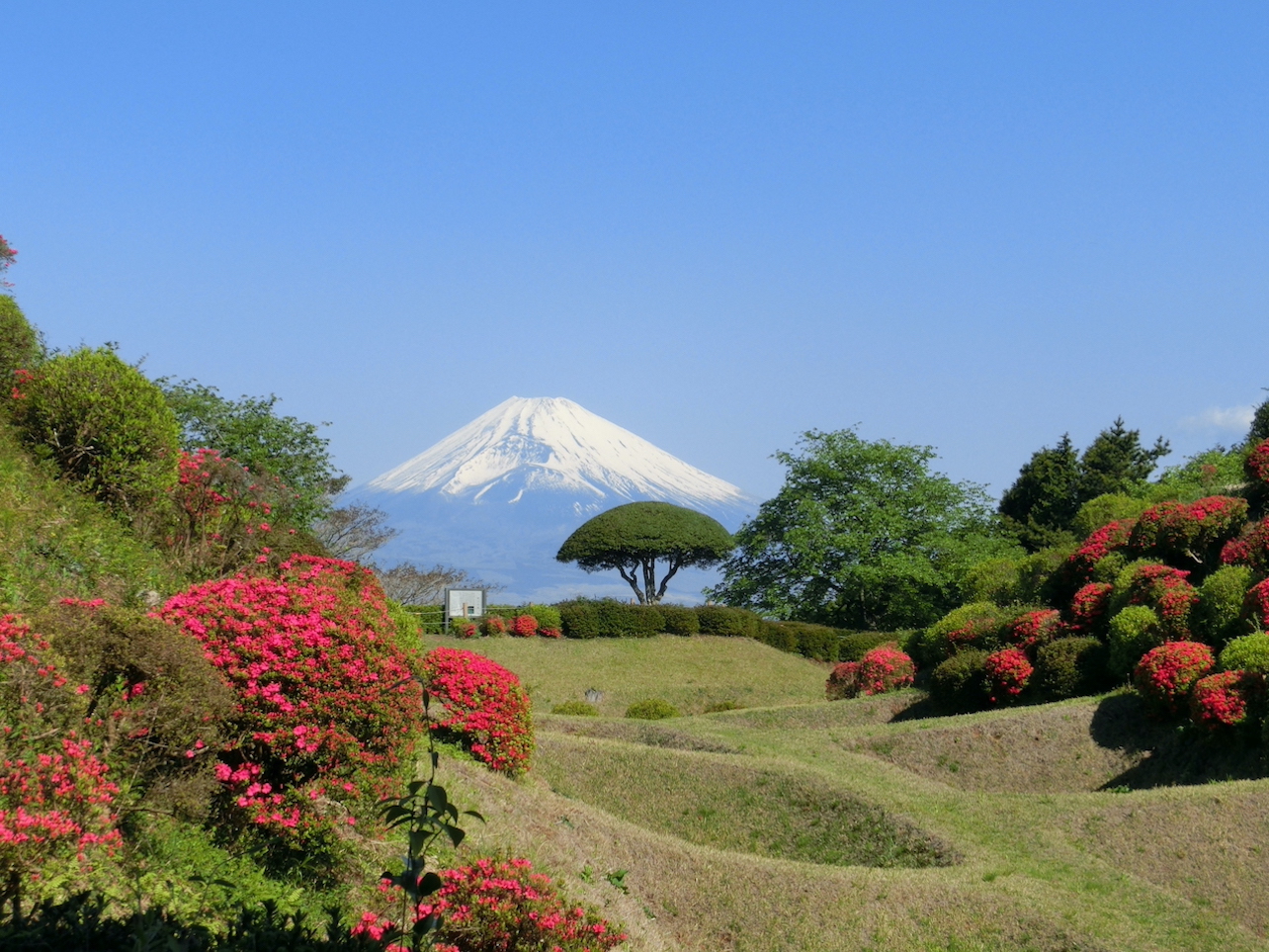 山中城跡公園