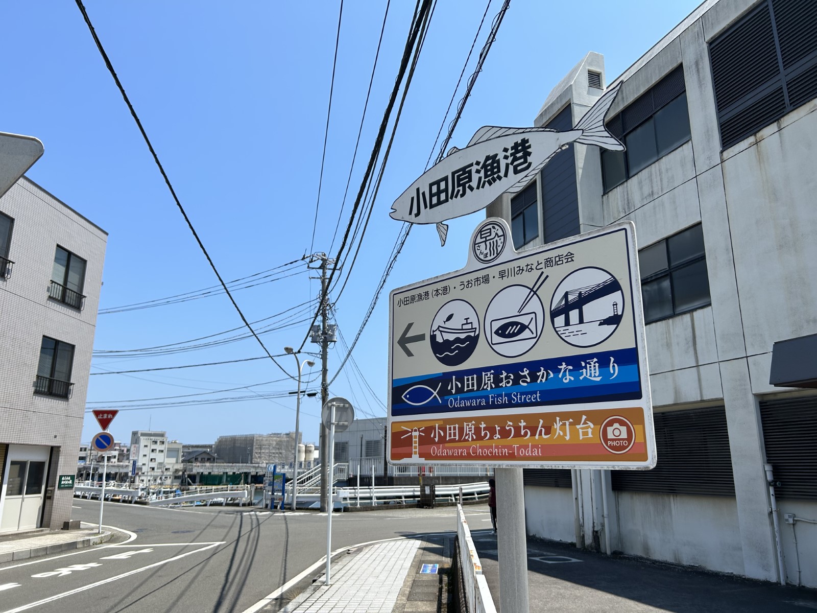 ひもの屋 半兵衛1