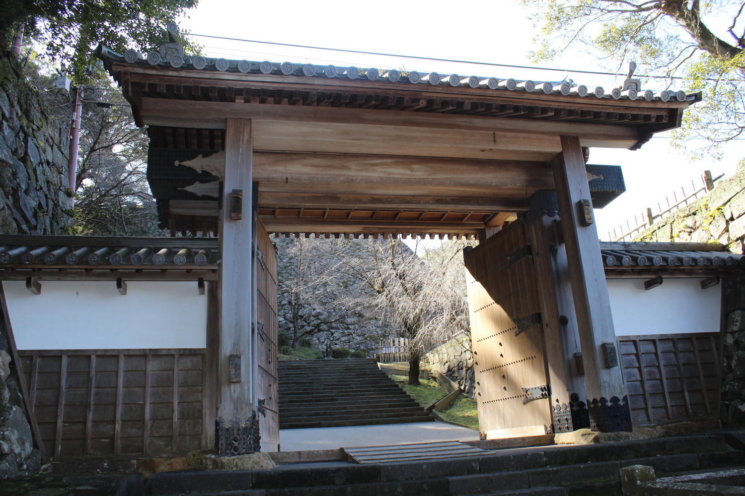 宮崎の観光情報