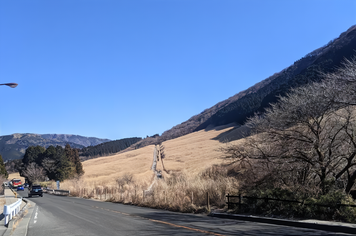 仙石原すすき草原3