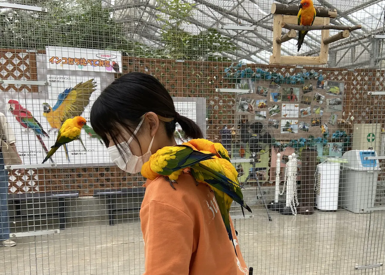 鳥好きにはたまらない！「掛川花鳥園」で花に親しみ鳥と触れ合う | たびらい観光情報, image size:1284x916