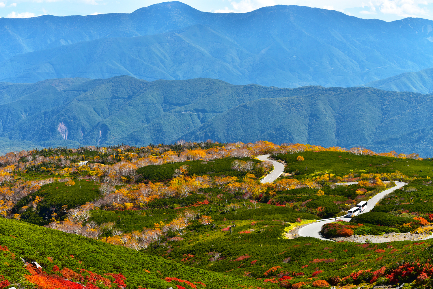 岐阜の観光情報