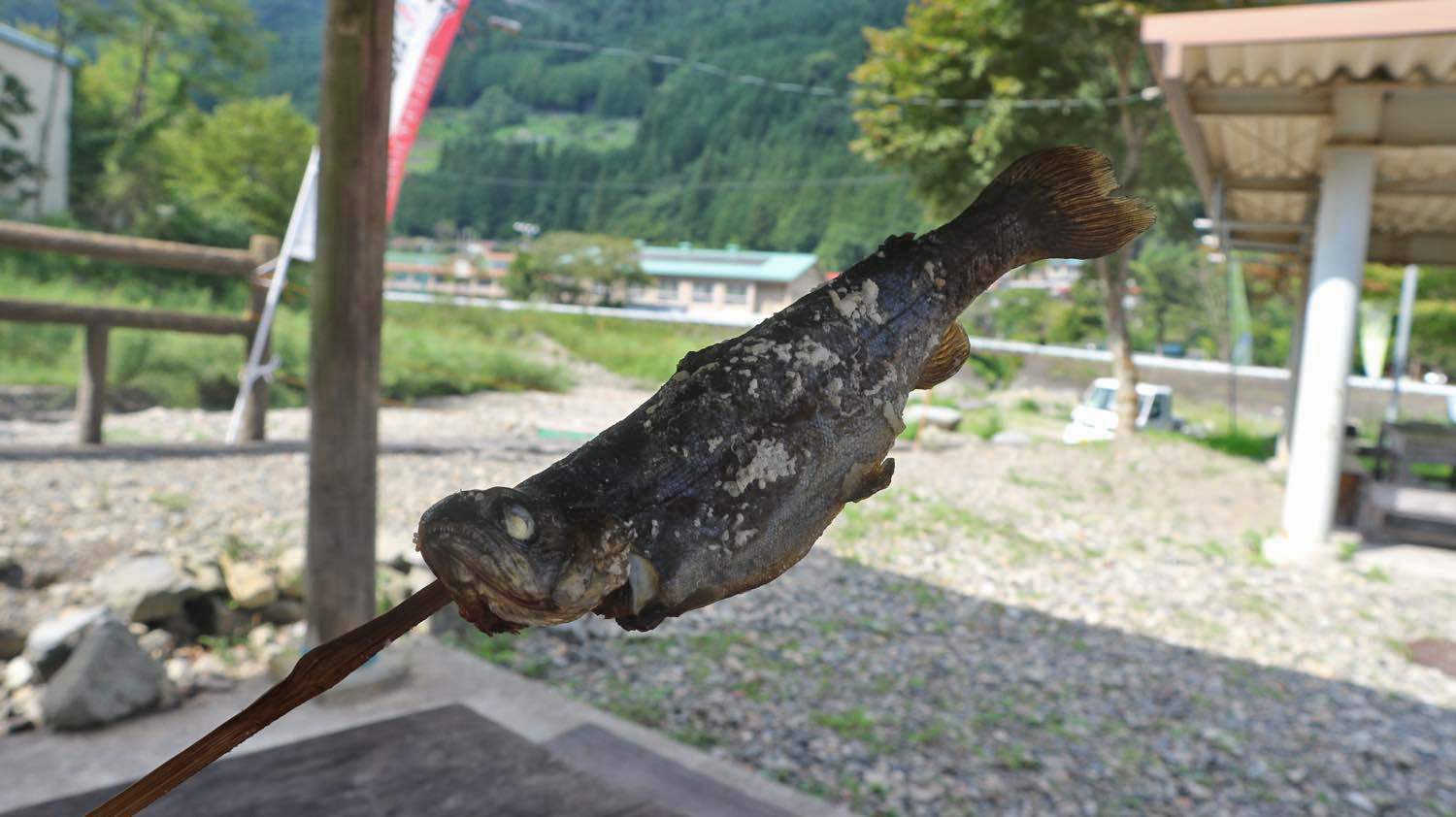ニジマス塩焼き