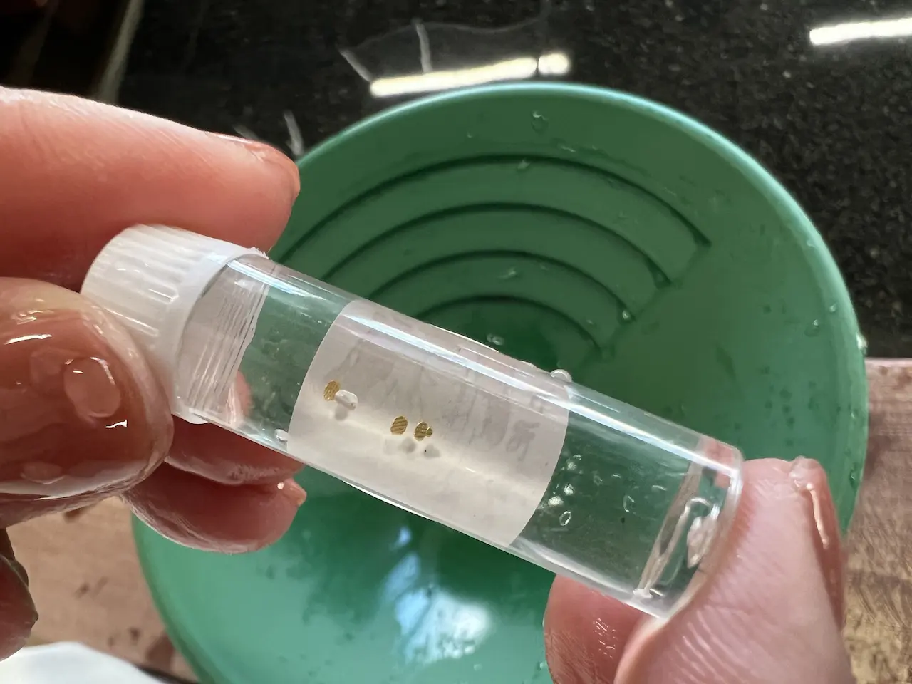 土肥金山　砂金　133粒 砂金採りに挑戦！西伊豆・土肥金山で貴重な体験や見学を楽しもう