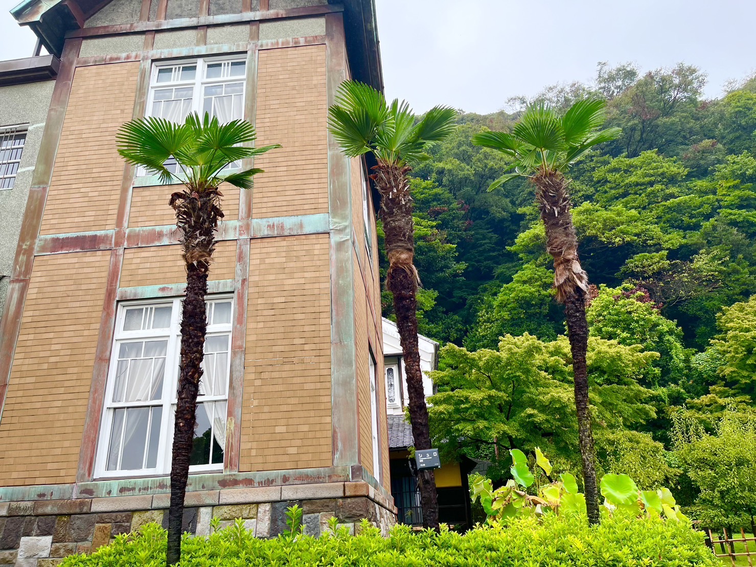 洋館前のシュロの木