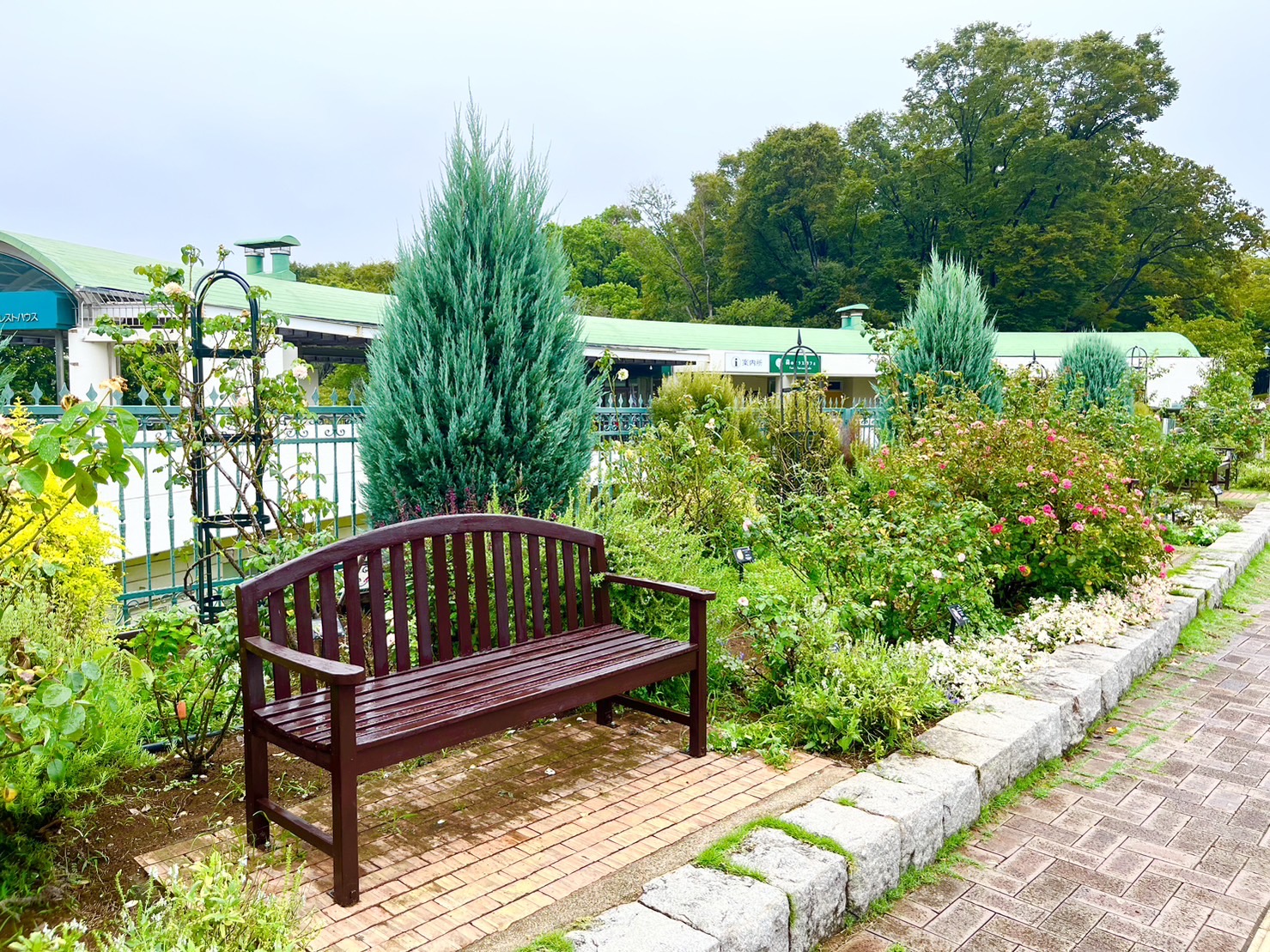 根岸森林公園のバラ園