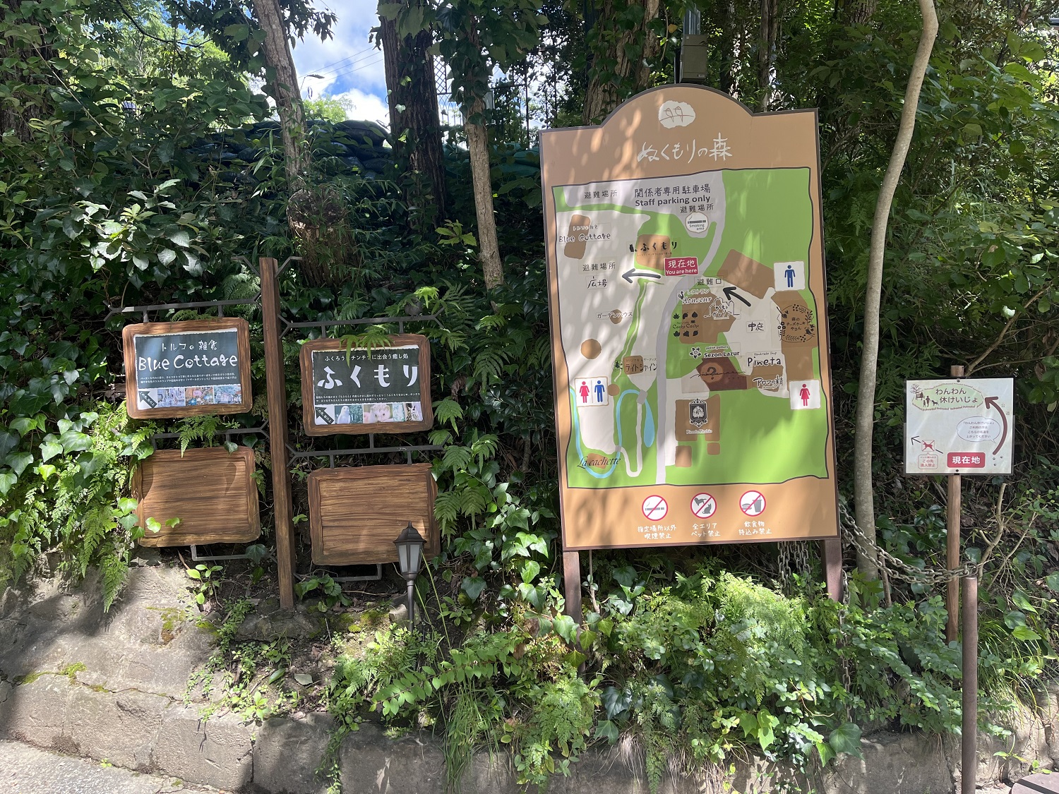 ぬくもりの森ドッグランへの道
