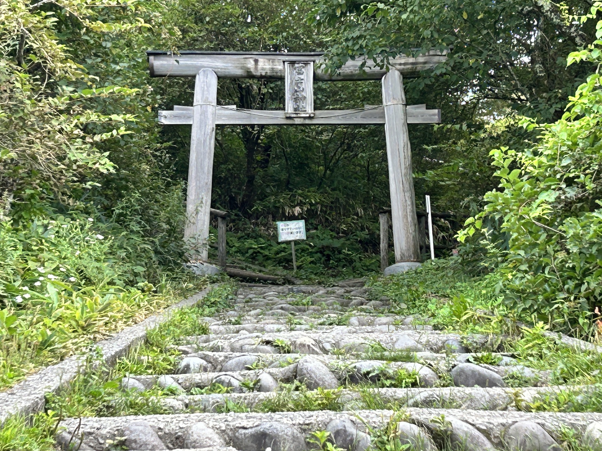 鳥居をくぐって参道へ