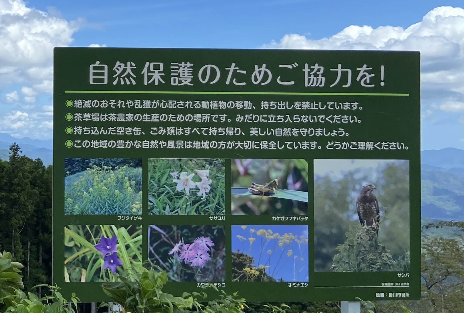 higashiyama1-3