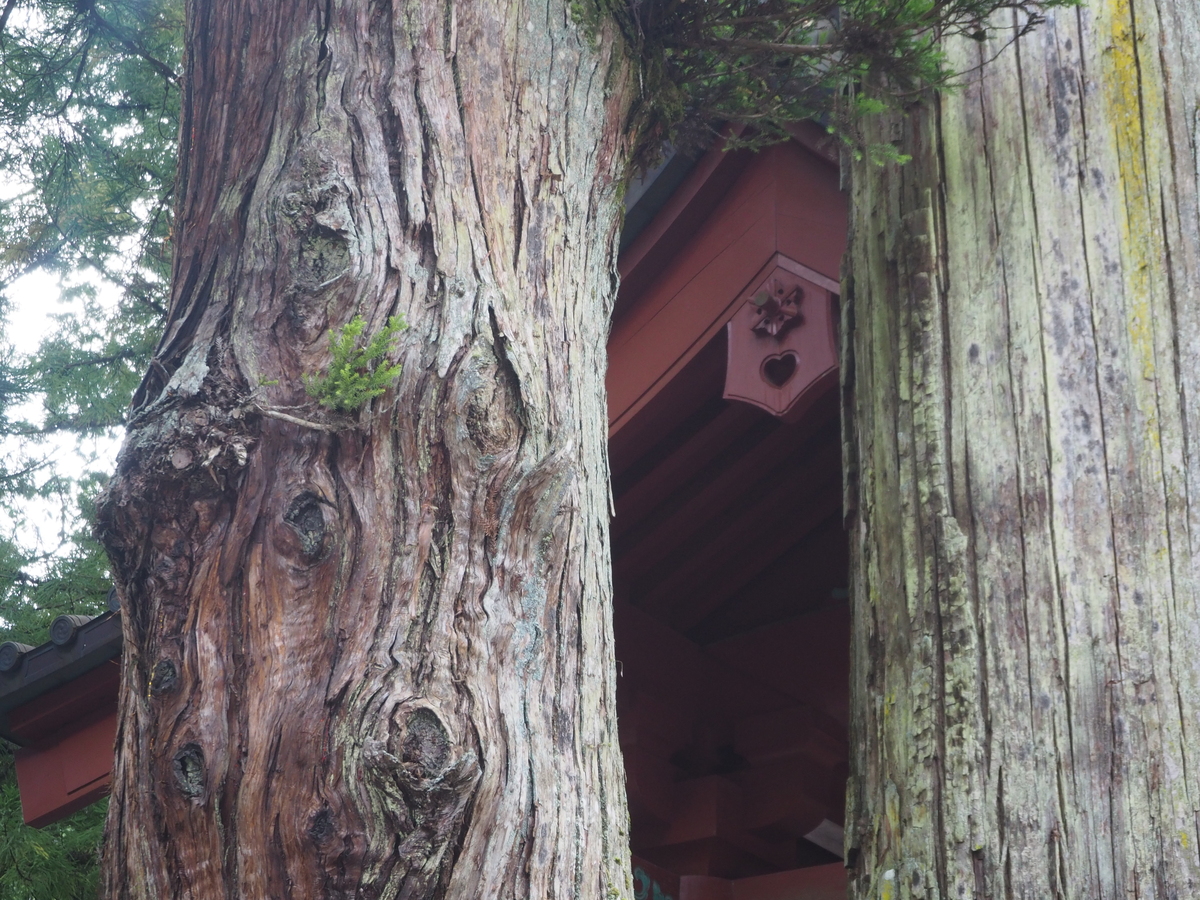 日光二荒山神社4