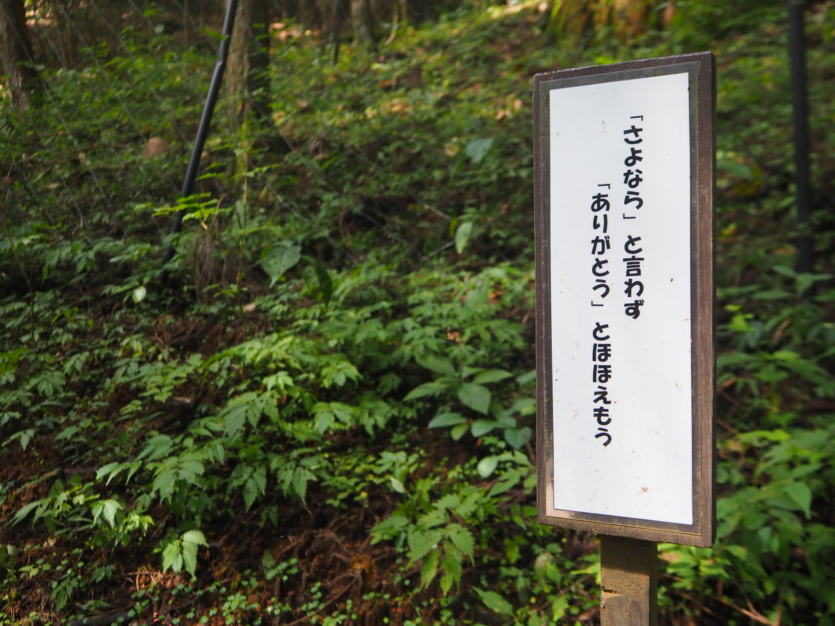日光二荒山神社6