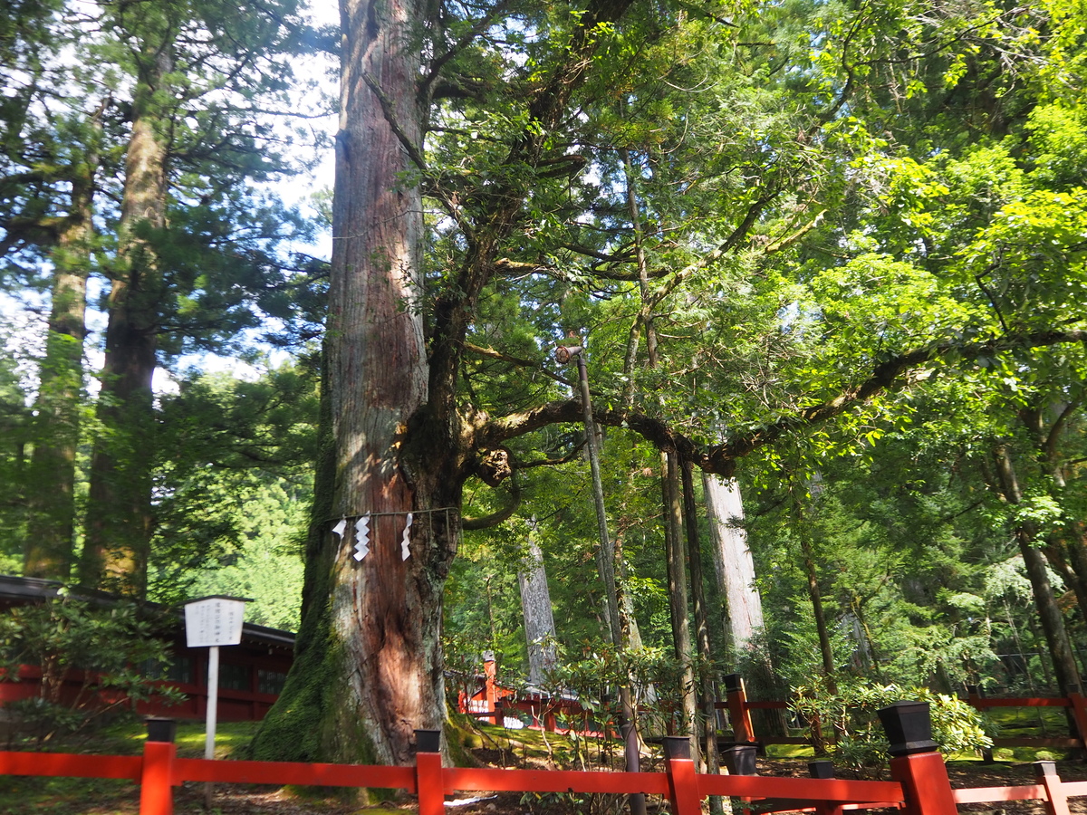 日光二荒山神社2