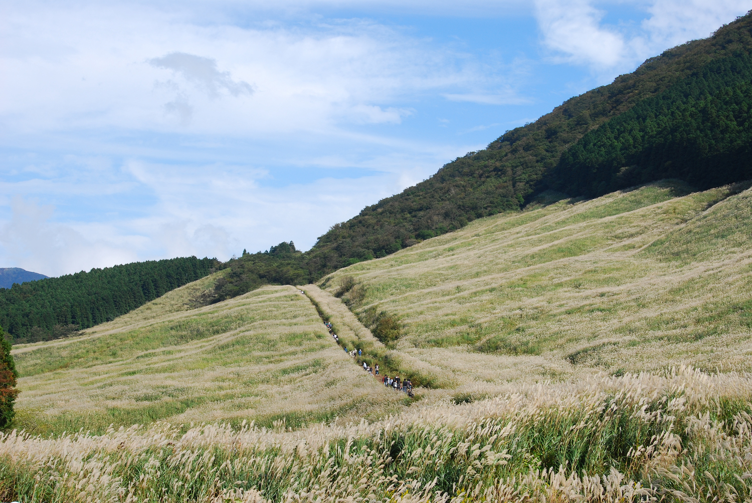 仙石原