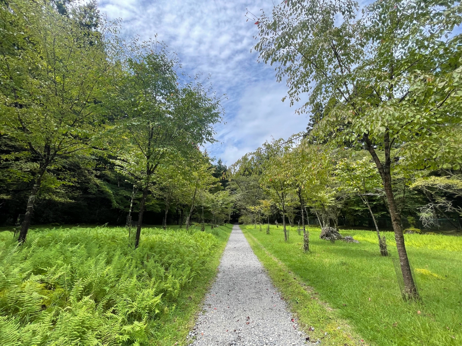 ストーンパーク