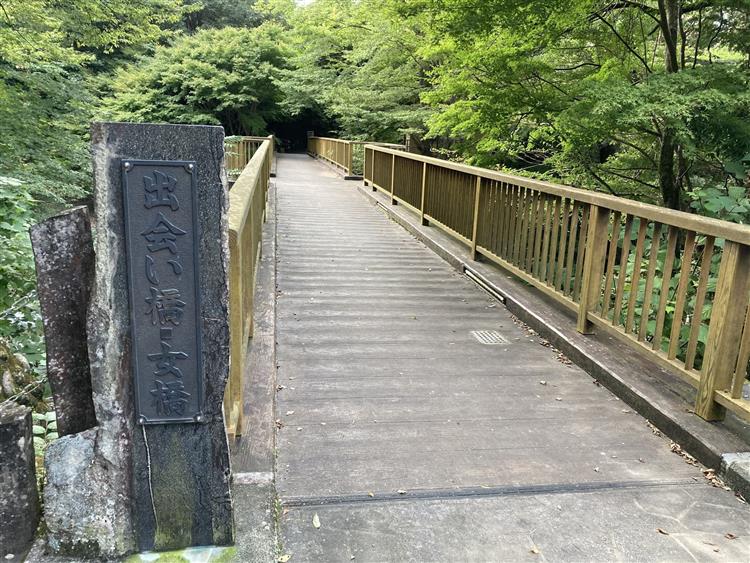 天城 湯ヶ島