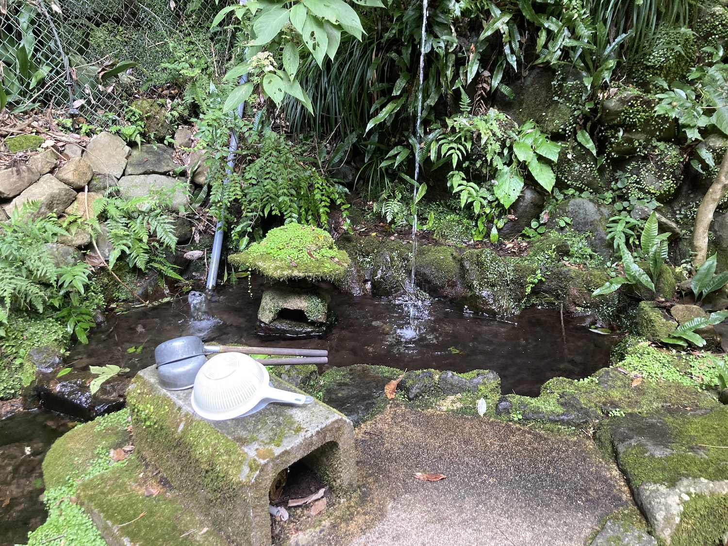 深沢銭洗弁天２